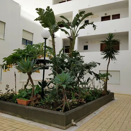 Apartamento Oceanides Beachfront *